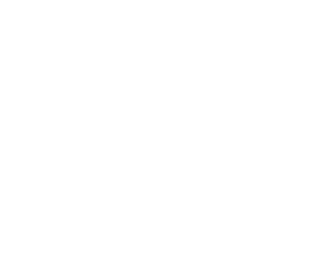 FO Logo